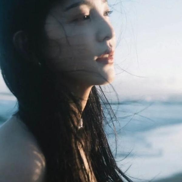 石纪元第四季